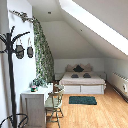 Brasov Cucu Residence 外观 照片